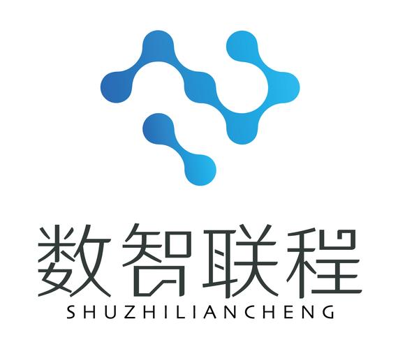 數(shù)智引領(lǐng)，聯(lián)程賦能——數(shù)智聯(lián)程（重慶）科技網(wǎng)絡(luò)技術(shù)服務(wù)深度解析